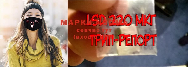 PSILOCYBIN Белокуриха